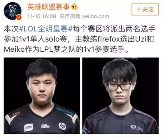 的肌肉结构