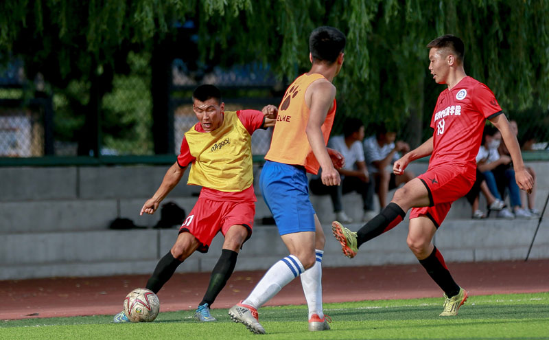 的数据看板 的数据看板